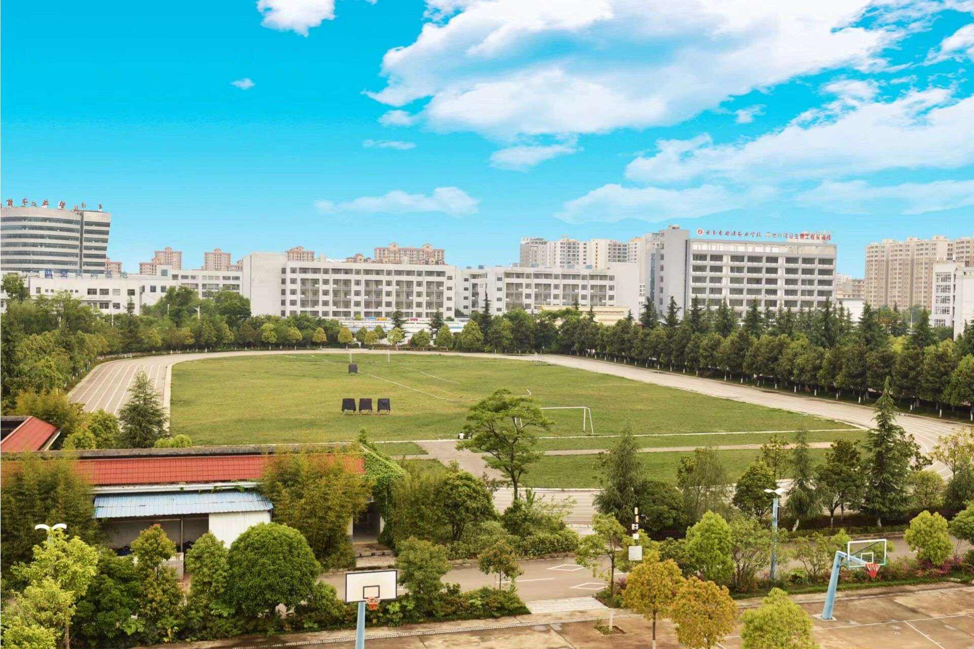 曲靖财经学校2023年报名须知