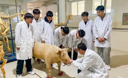 云南省曲靖农业学校官网电话地址