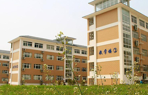 职教高考毕业生的就业前景探讨