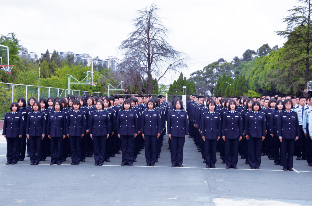 d81cac7769a04572929c5a51a9497974.png