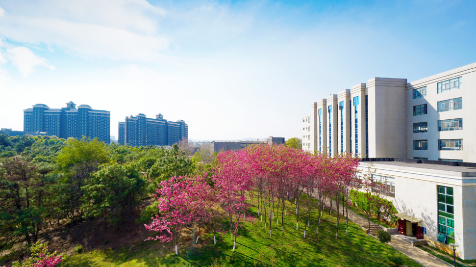 云南工商学院3.png