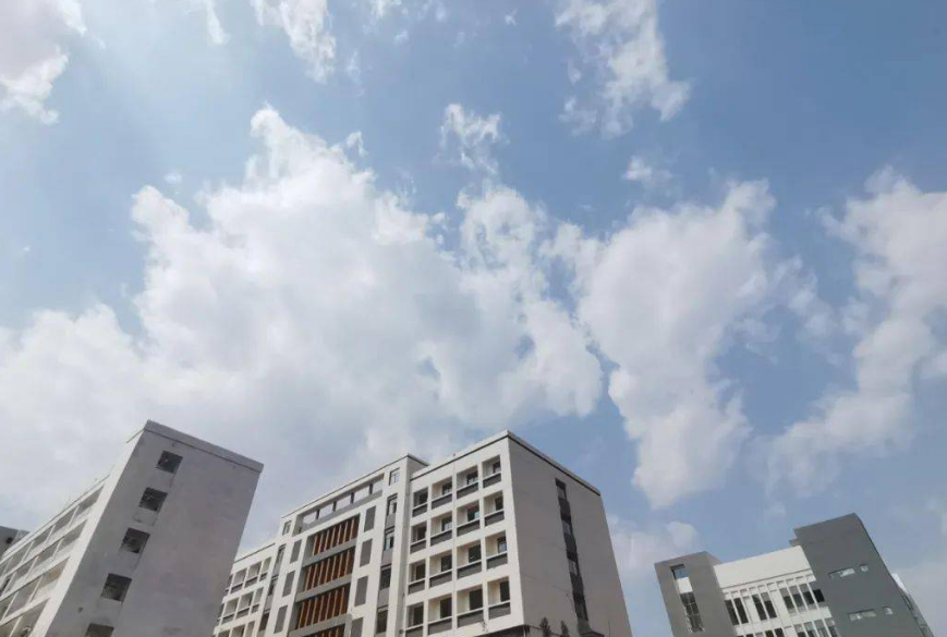 巧家县4.png