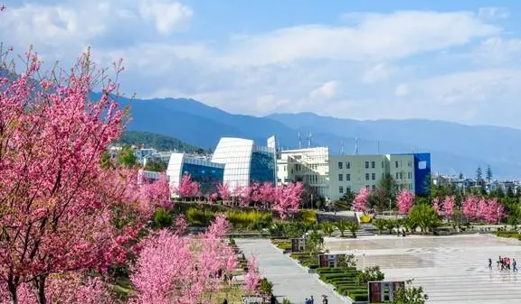 大理大学3.png